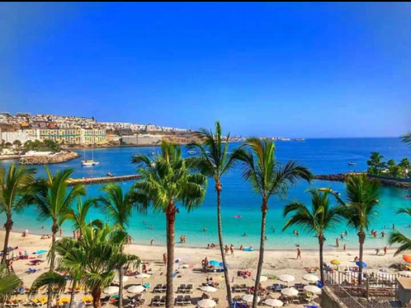 Most Sunny Days On Gran Canaria Puerto Rico  Dış mekan fotoğraf
